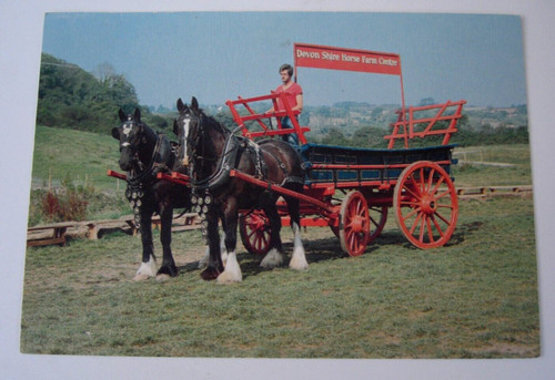 Original vintage rppc - original,