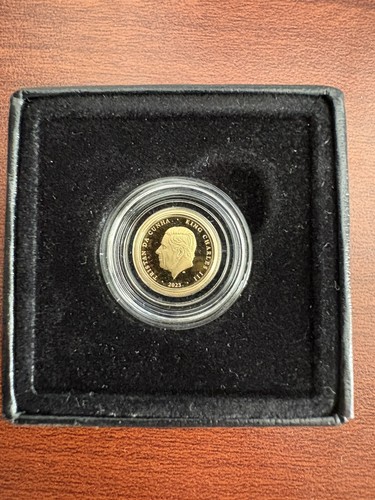 2023 regina elisabetta - regina,