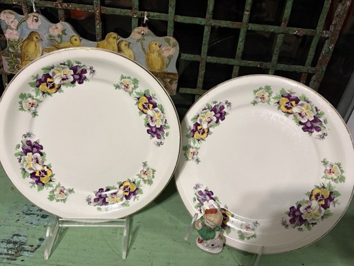 Vintage pansy dinner plates - pansy,